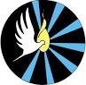 Picture of a dove with blue lines around it